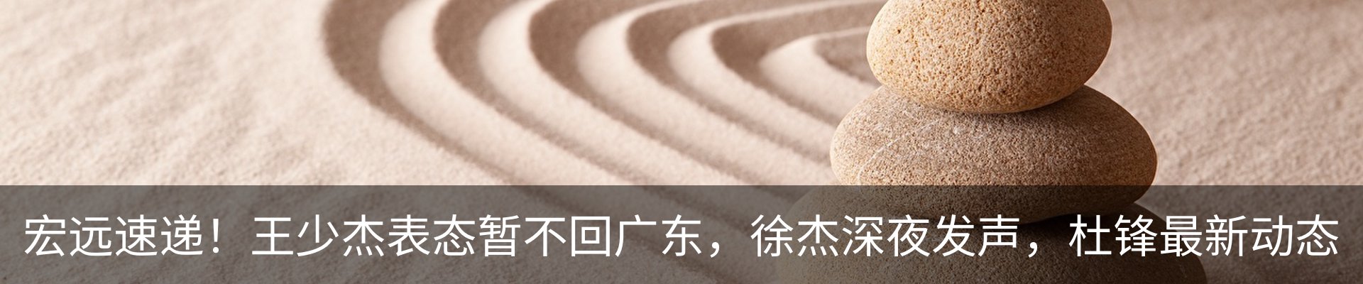 新闻动态